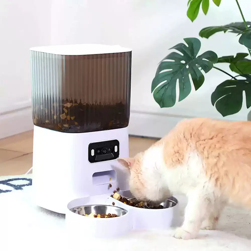 5L WiFi Smart Pet Feeder with Camera, Cat Eating Dry Food from Stainless Steel Bowl Indoor Scene