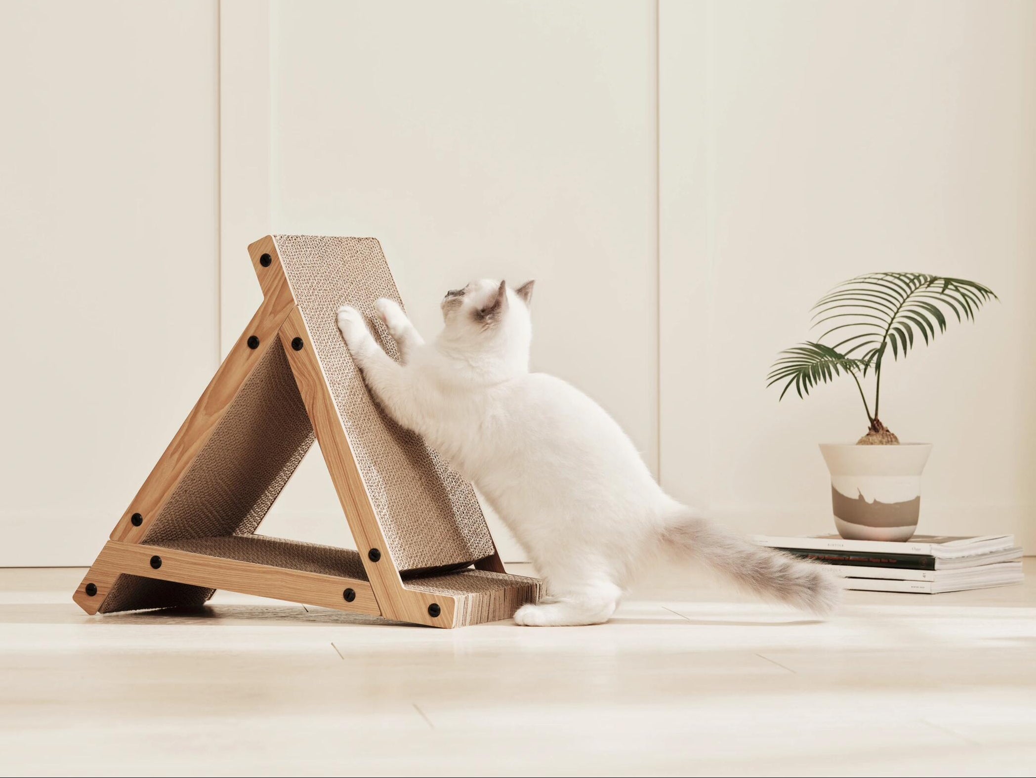 A serene moment of a cat enjoying its playtime on a triangular wooden structure. The image highlights the joy of pet ownership and how functional pet accessories can complement a minimalist home aesthetic with natural wood tones and greenery.
