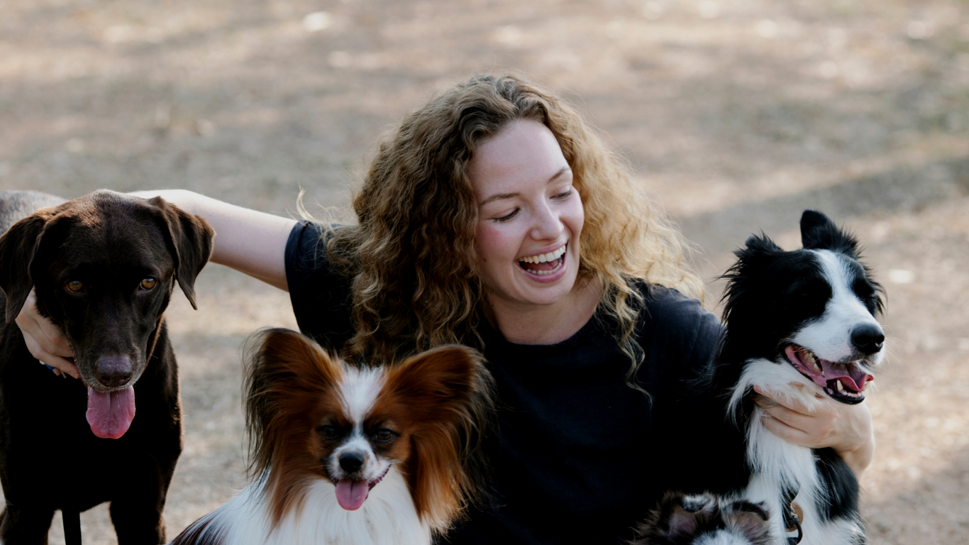 Three distinct dog breeds — a sturdy chocolate Labrador on the left, a delicate Papillon with butterfly-like ears in the center, and an energetic black-and-white Border Collie on the right — are lovingly held by their smiling owner. The scene captures the diversity of canine personalities and the universal joy of pet ownership, perfect for showcasing inclusive pet product ranges.